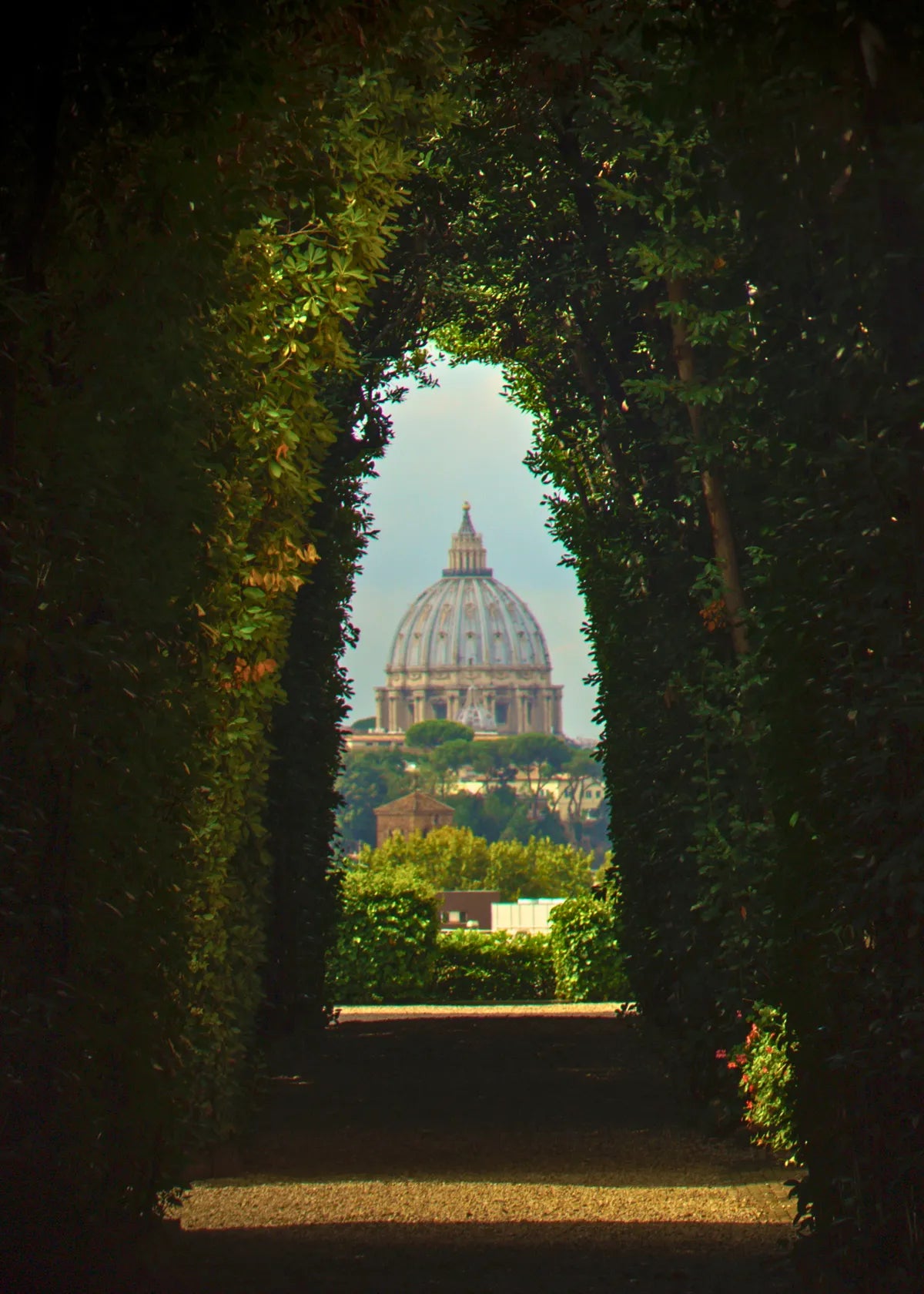 A scenic view of St. Peter's dome in Vatican City framed by a dark, leafy hedge archway in the foreground.