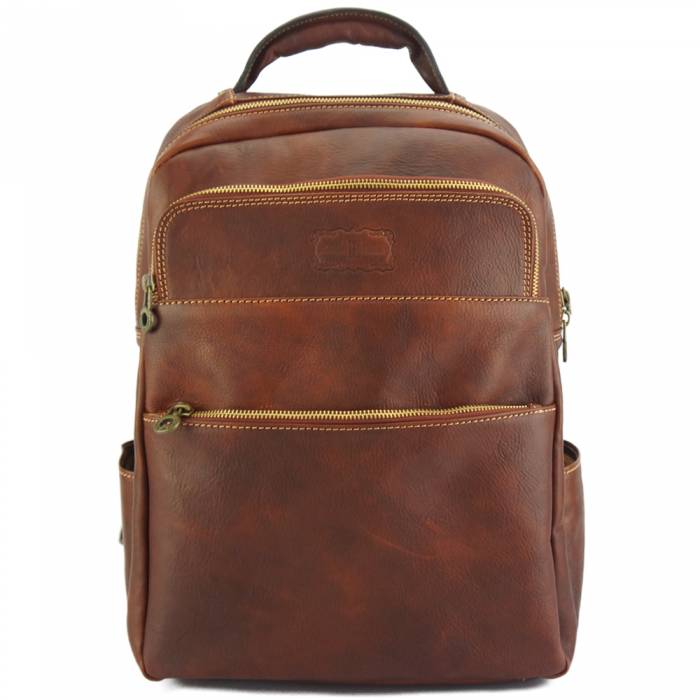 A brown leather backpack with gold-toned zippers and stitching, shown against a plain white background.